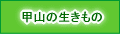 甲山の生きもの